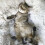 Kattbädd / Hundbädd - Sovplats för katter och hundar grå 8