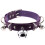 Colliers personnalisés violets 1