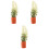 3Pcs Tiny Plastic Artificial Bonsai Models for Mini House Landscaping 5