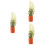 3Pcs Tiny Plastic Artificial Bonsai Models for Mini House Landscaping 8
