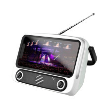 PAVEOS TV300s Bluetooth-luidspreker met microfoon en audio-integratie, draagbare KTV-luidspreker voor binnen en buiten, wit