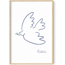 Gołąbek Pokoju Picasso – grafika ścienna – rysunek Pabla Picassa, nowoczesny plakat z gołębiem, klasyczny nadruk do salonu, kuchni, biura