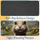 Πασχαλινό λαγουδάκι D Mouse Pad με αντιολισθητική βάση από καουτσούκ, τετράγωνο 4