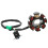 Πηνίο AC8Pole5Wire για κινητήρα GY6 125cc150cc, μαγνήτης στάτη ανάφλεξης με περιελίξεις εξ 2