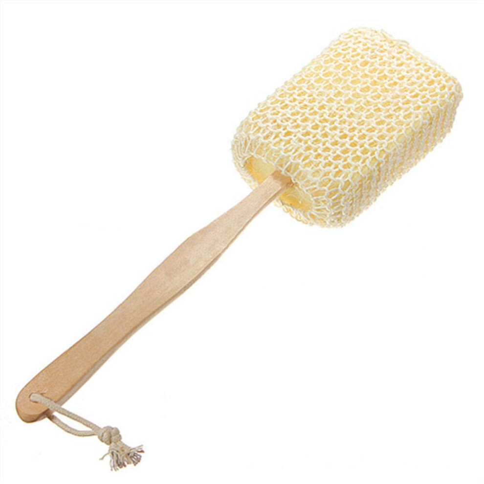 Dry Body Brush with Long Handle, Natural Bristle Bath Brush for Exfoliating Back Scrubber