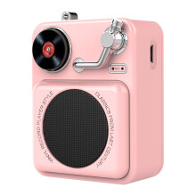 PAVEOS Mini przenośny głośnik Bluetooth, wzmocniony bas, bezprzewodowy design w stylu retro vintage, wbudowany mikrofon, kompatybilny z Pink-a