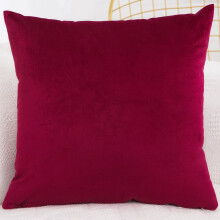 Fodera per cuscino decorativo quadrato in velluto Cterwk, morbida, 19,69x19,69 pollici