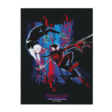Coperta morbida e confortevole in peluche a tema Spider-Man: Into The Spider-Verse, leggera e calda, in flanella, ideale per divano, letto, 101,6 x