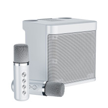 10W Karaokemaskin med 2 trådlösa mikrofoner, 1200mA bärbar mikrofon, högtalarset, högtalarmikrofon med fem röstväxlingslägen
