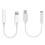 Lightning / USB-C - AUX-sovitin 3,5 mm:n paketti USBCAUX 2