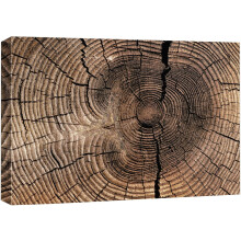 Leinwandbild, Nahaufnahme von braunen Baumstamm-Holzringen, Naturfotografie, modernes mehrfarbiges Design, 30 x 45 cm, kompatibel mit KSIW