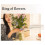 Spiralstöd Plast Blomningsinsättningsverktyg Blomrör 2-pack 3