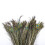 Lote com 10 penas naturais de cauda de pavão para artesanato DIY, 23-30 cm / 10-12 polegadas 4