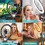 Professional Dimmable Ring Light, Extendable Tripod Stand For Live Stream, Makeup, YouTube 8