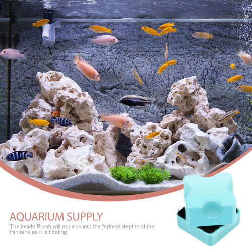 Magnetischer Glasreiniger für Aquarien 2