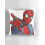 ASPORIC Spider Verse Punk Essentials & Products. Μαξιλαροθήκες 1 συσκευασίας, Μαξιλαροθήκες καναπέ, 3