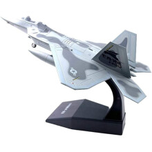 1/100 Scale Alloy F-22 Plane Airplane Model Children's Gift Collectible Birthday Gift [DmS] gray