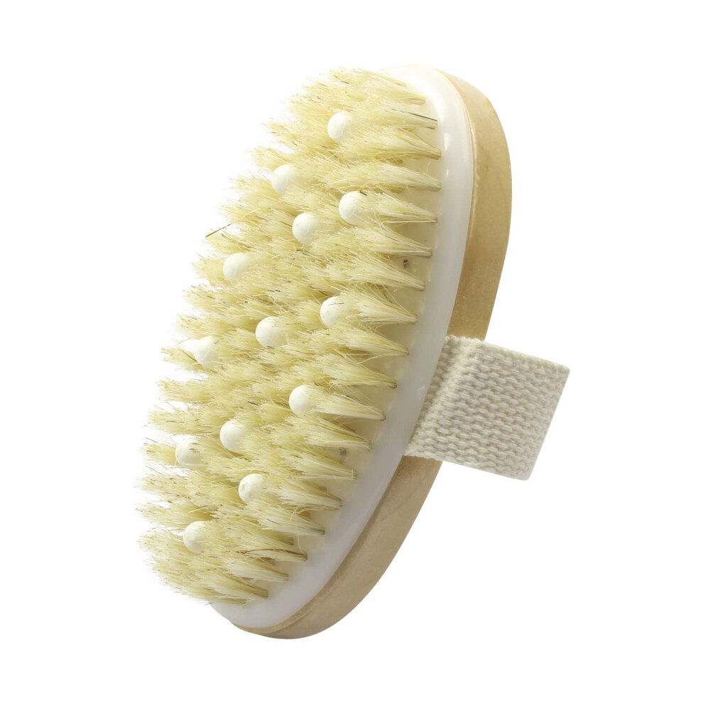 Body Brush with Long Wooden Handle, Natural Boar Bristles for Dry Brushing, Exfoliation and Circulation