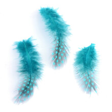 50pc Chicken Feather Costume Accessories Dyed Dark Turquoise 65~135x25~45mm DIY