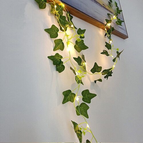 Bincy Indoor/Outdoor 33 ft Solar Waterproof LED String Light 2