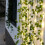Bincy Indoor/Outdoor 33 ft Solar Waterproof LED String Light 5