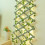 Bincy Indoor/Outdoor 33 ft Solar Waterproof LED String Light 4