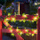 Bincy Indoor/Outdoor 33 ft Solar Waterproof LED String Light 2