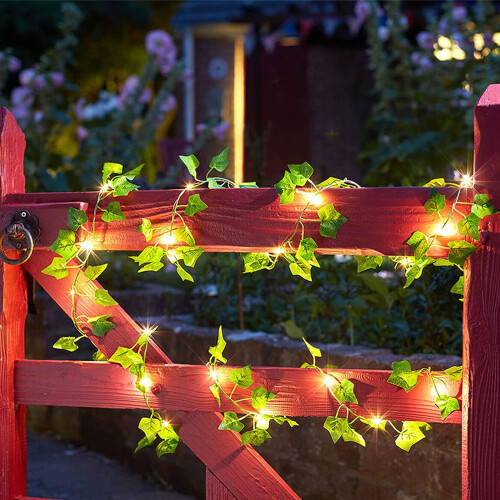 Bincy Indoor/Outdoor 33 ft Solar Waterproof LED String Light 1