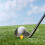 Golf Ball Holders Golfs Golfing Accessories Rack Flight Path Tees Pineapple 5