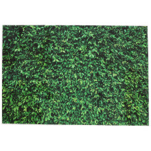 Eease Square Green Leaves Backdrop Grass Background Spring Scene Photography Backdrop