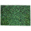 Eease Square Green Leaves Backdrop Grass Background Spring Scene Photography Backdrop 1