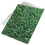 Eease Square Green Leaves Backdrop Grass Background Spring Scene Photography Backdrop 2