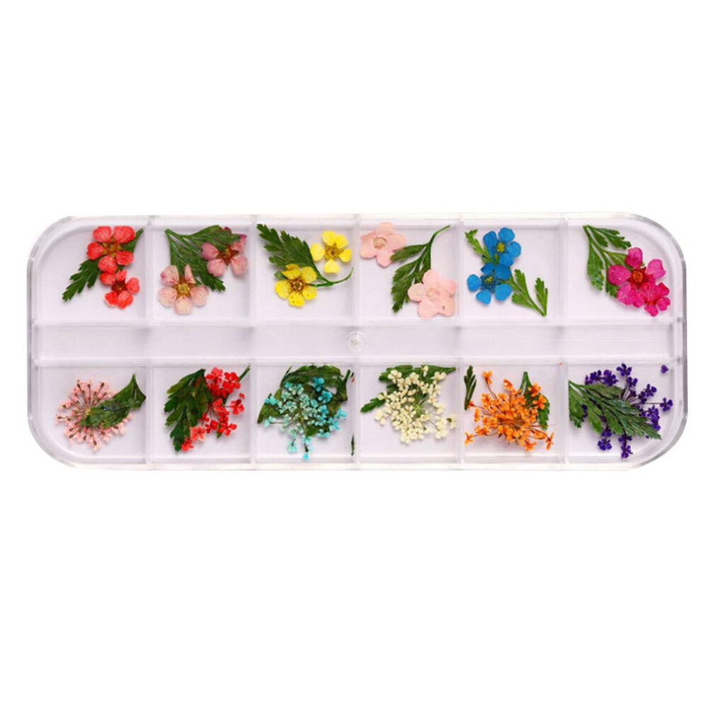Nail Art Rhinestones and 12 Color Dried Flower Nail Decoration for Precise Sparkle and LongLasting Shine