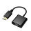 Προσαρμογέας DisplayPort σε VGA, Προσαρμογέας DisplayPort σε VGA με επιχρυσωμένες υποδοχές για 1