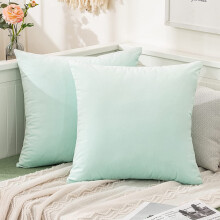 Set di 2 federe per cuscini decorativi in velluto Cterwk, morbide federe quadrate decorative, lussuose federe per cuscini per l'arredamento della
