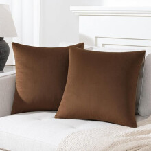 Conjunto de 2 capas de almofada decorativas Cterwk em veludo macio para sofá, cama, 45x45 cm (18x18 polegadas)