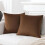 Conjunto de 2 capas de almofada decorativas Cterwk em veludo macio para sofá, cama, 45x45 cm (18x18 polegadas) 1