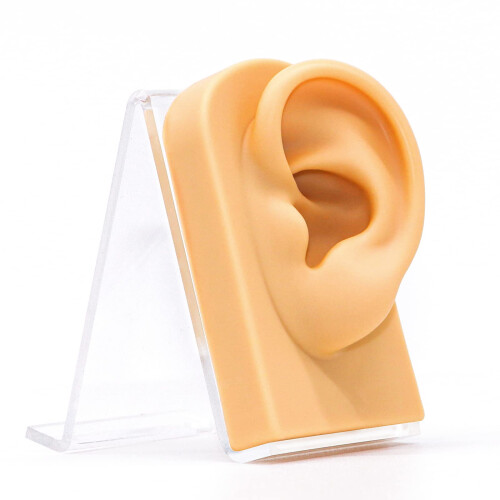 Piercing Practice Kit with Realistic Reusable Silicone Ear Model for Training and Jewelry Display 1