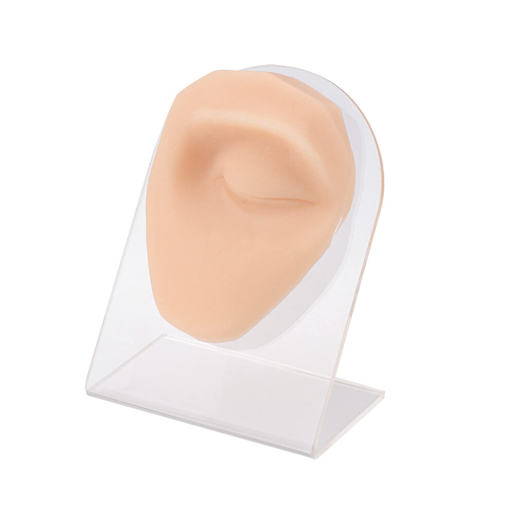 Piercing Practice Model with Stand, Realistic Silicone Eyebrow Training Aid for MultiPiercing