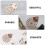 Embroidery Accessories Sewing Machine Threader Hand Needle Threaders Witch DIY Simple 3 Pcs 4