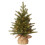 2ft Pre-lit Artificial Mini Christmas Tree with LED Lights, Battery Operated Xmas Pine Tree, Burlap Base for Table Decor 1