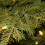 2ft Pre-lit Artificial Mini Christmas Tree with LED Lights, Battery Operated Xmas Pine Tree, Burlap Base for Table Decor 5