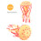 Kiplyki Jellyfish Toys Φιγούρες Διακόσμηση Σπιτιού Προσχολικής Ηλικίας Εκπαιδευτικά 1