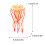 Kiplyki Jellyfish Toys Φιγούρες Διακόσμηση Σπιτιού Προσχολικής Ηλικίας Εκπαιδευτικά 3