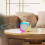 Bluetooth Ηχείο Μικρόφωνο Όλα-σε-Ένα για Ζωντανή Μετάδοση σε Εξωτερικό Χώρο και 3