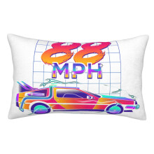 Back To The Future Pillowcases, Super Soft and Cozy Fuzzy Pillow Cases with Zipper, 20x30 Inches, Bedroom, Sofa, Couch,All Seasons Pillow Case