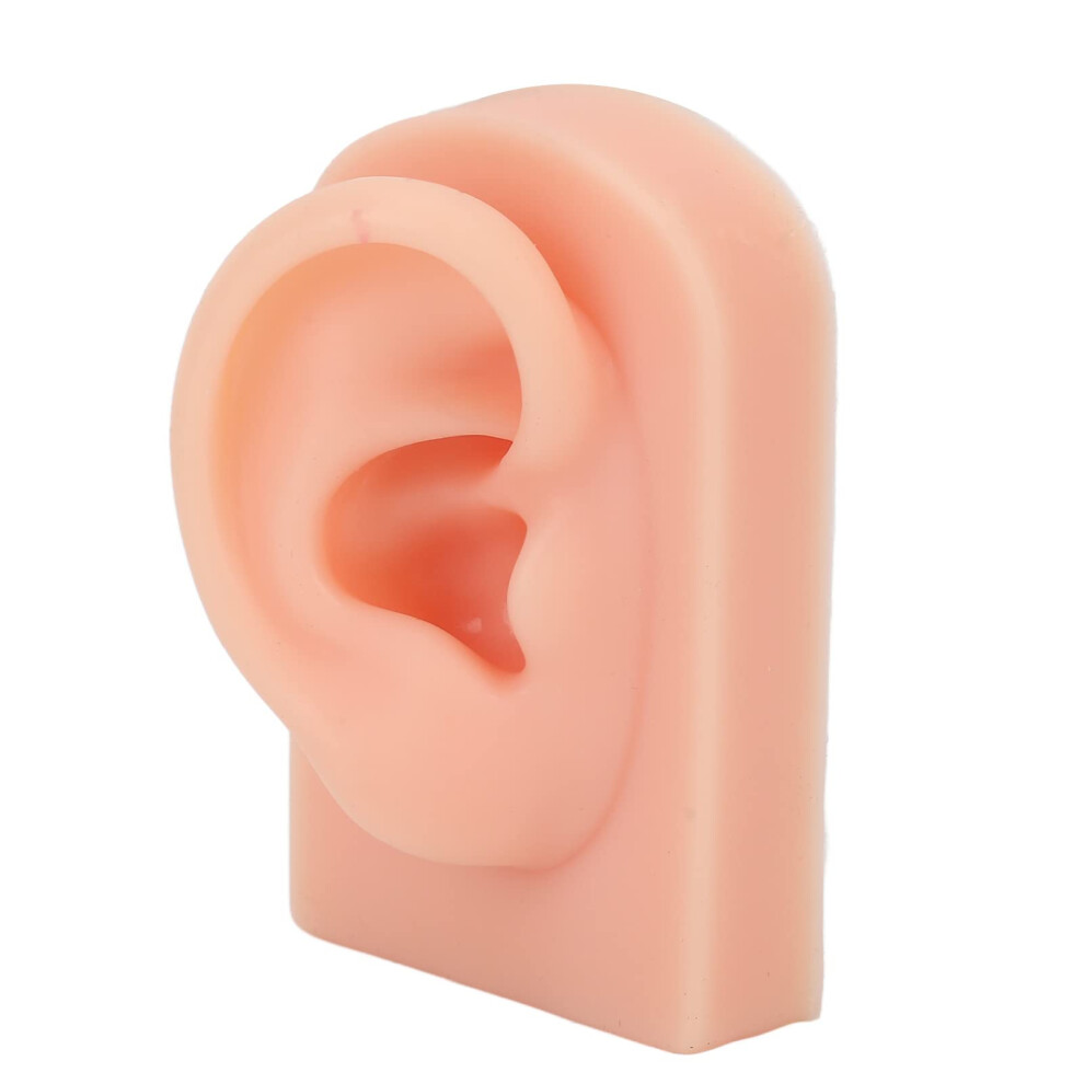 Light Silicone Right Ear Model For Piercing Practice With Realistic Texture, Reusable Skin Prop