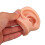 Piercing Practice Model with Realistic Silicone Nose and Ear, Light Skin Tone, Reusable Training Kit 4