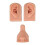 Piercing Practice Model with Realistic Silicone Nose and Ear, Light Skin Tone, Reusable Training Kit 1