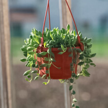 Cesto da fiori Yesbay riutilizzabile, vaso decorativo sospeso in plastica rialzata per esterni, 5#